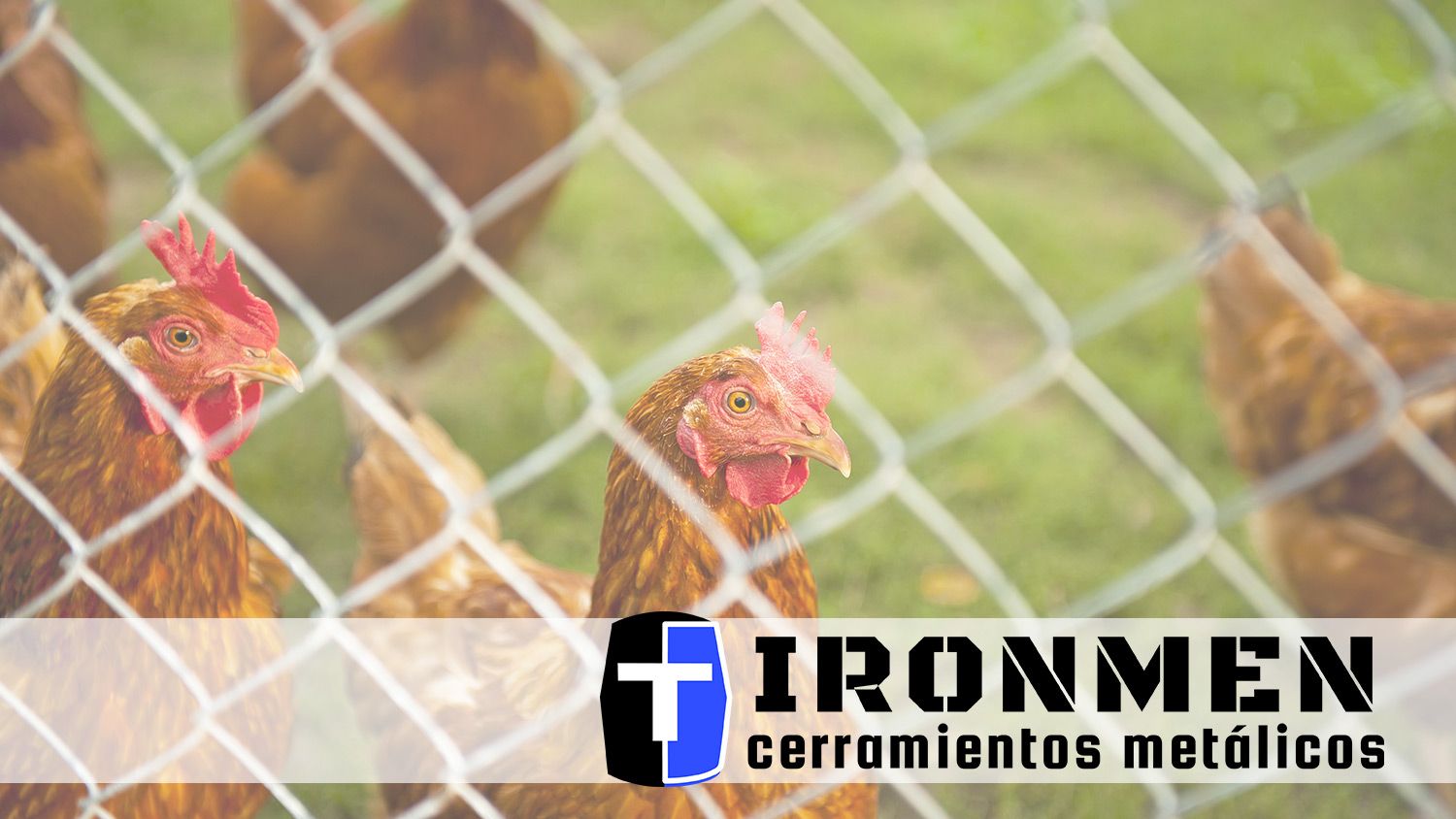 Cerramientos Ironmen: valiosos consejos para la elección correcta de las vallas metálicas