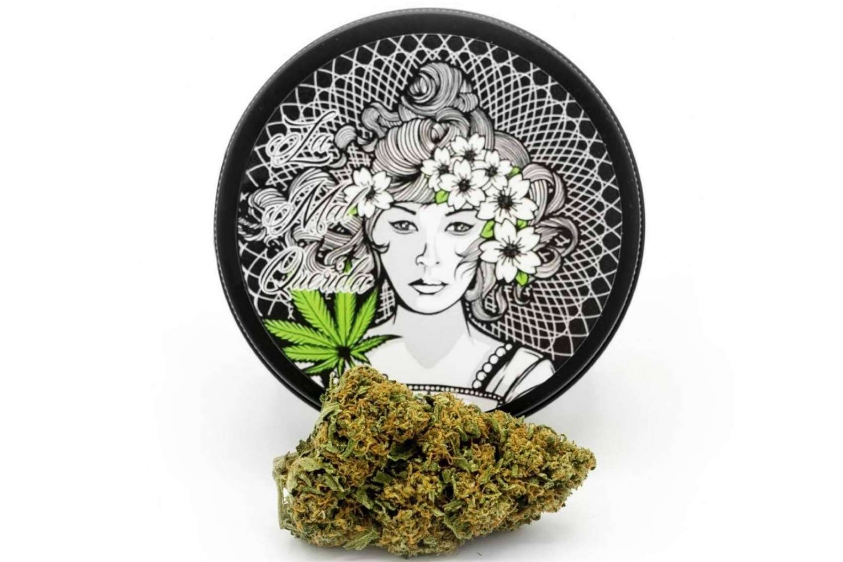 ¿Qué es el CBD? La Mal Querida presenta los múltiples beneficios de este componente