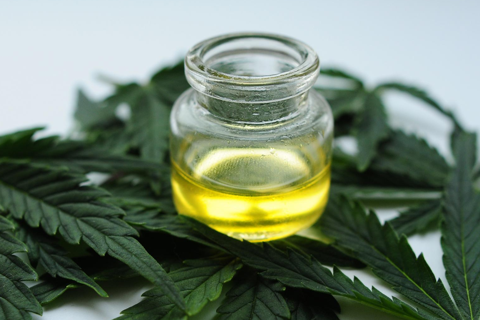 Los beneficios terapéuticos del CBD por Legalhemp Biocosmetic