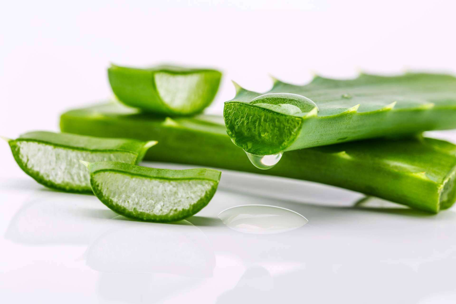 Los beneficios del aloe vera, por Territorio Aloe