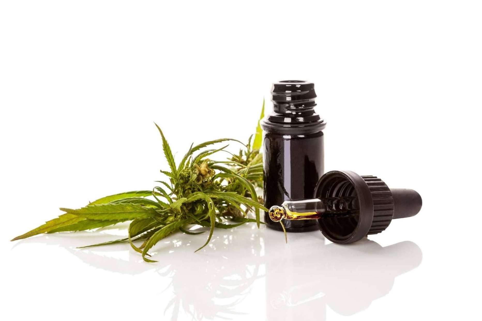 Legalhemp Biocosmetic: ¿Cómo puede el aceite CBD mejorar molestias musculares?