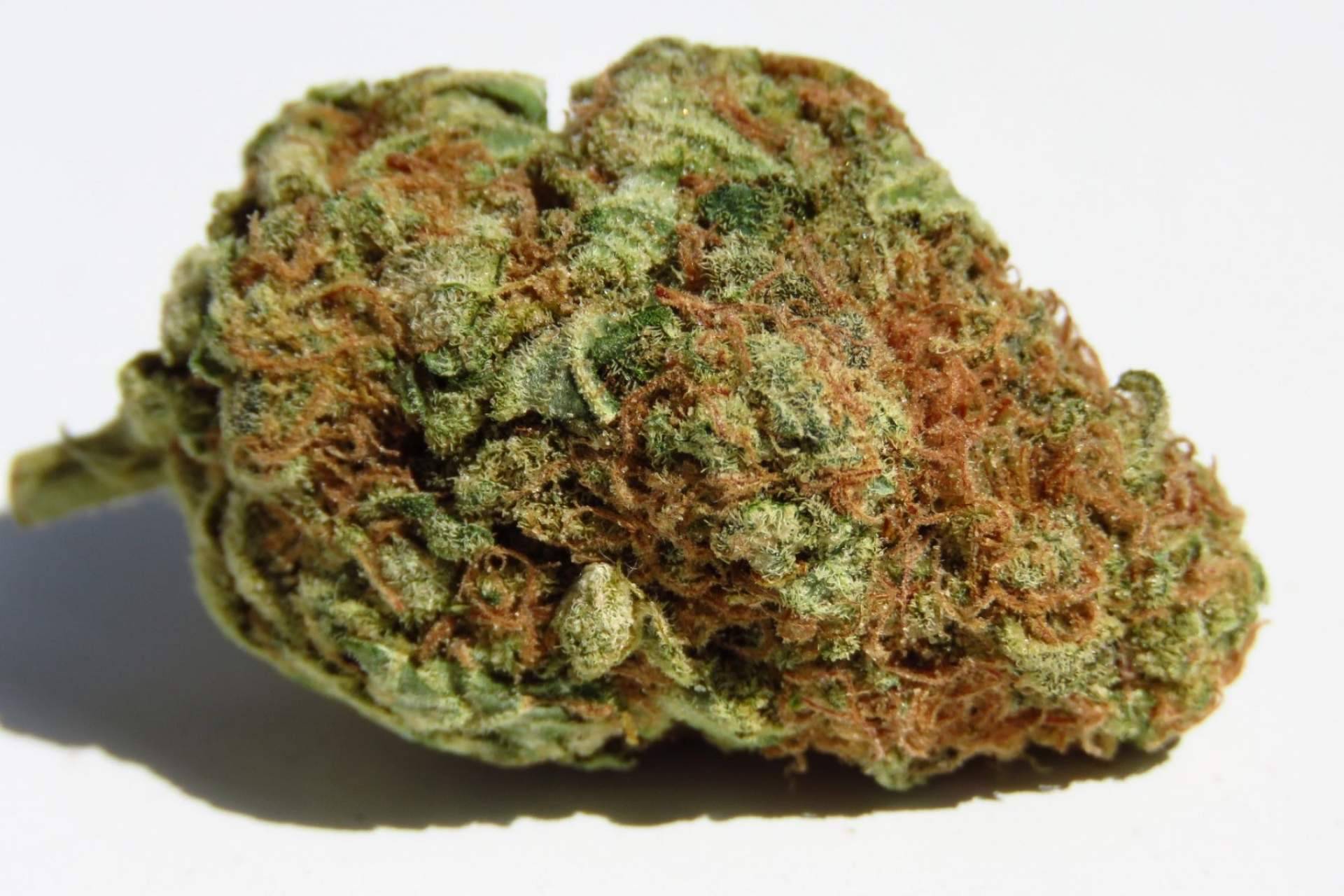 De Pata Verde: ¿Qué son las flores de cannabidiol?