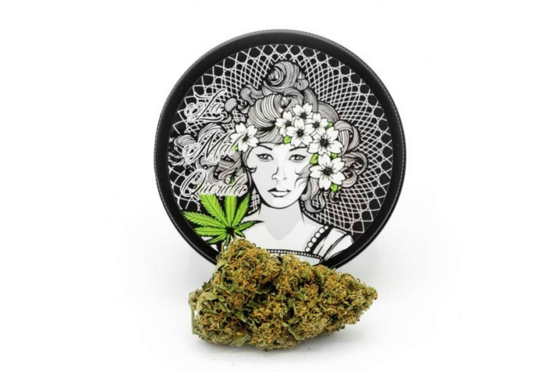 La Mal Querida: ¿Qué especifica el aspecto legal del CBD?