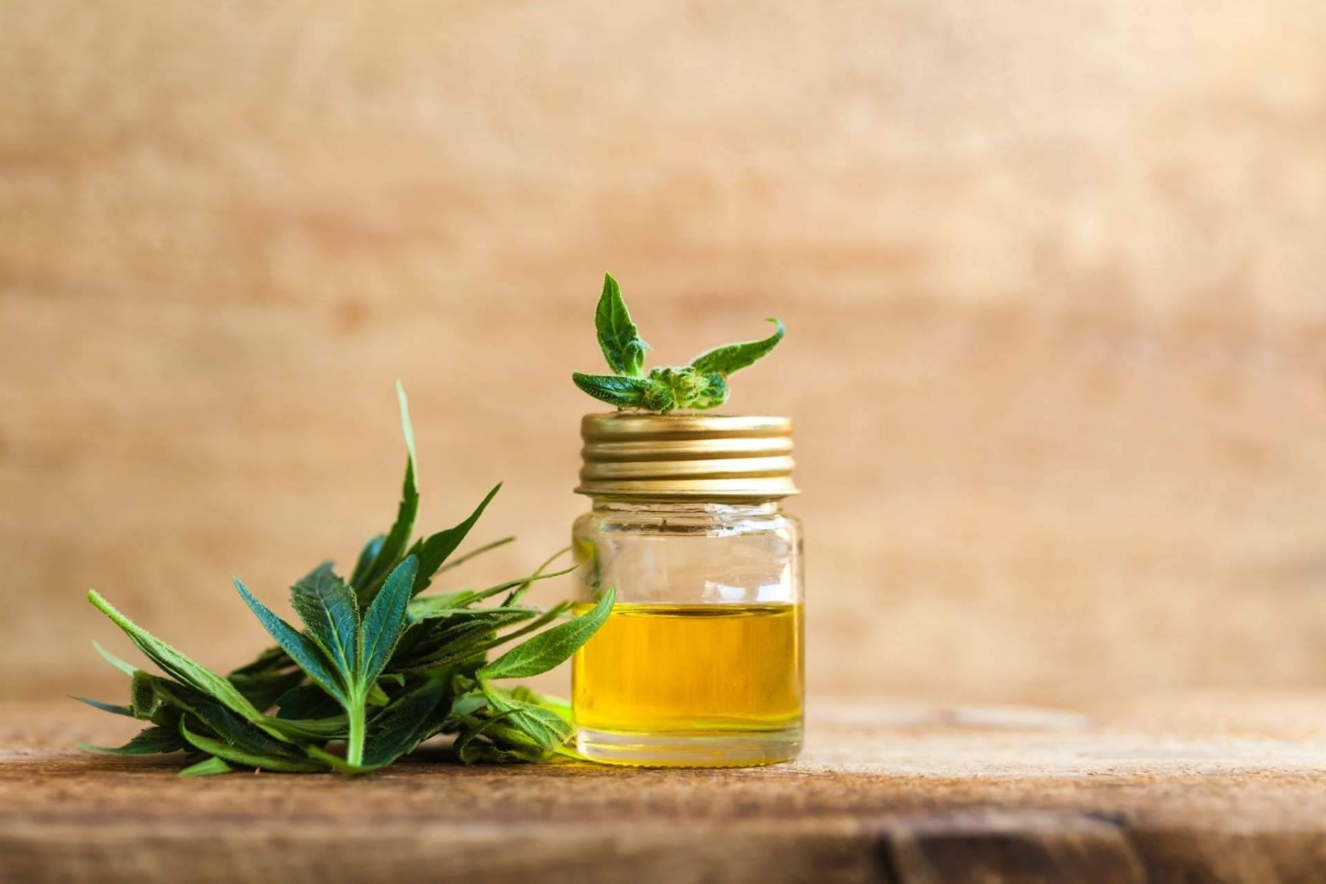 ¿El aceite CBD es útil para tratar molestias musculares? Premium Legal Hemp