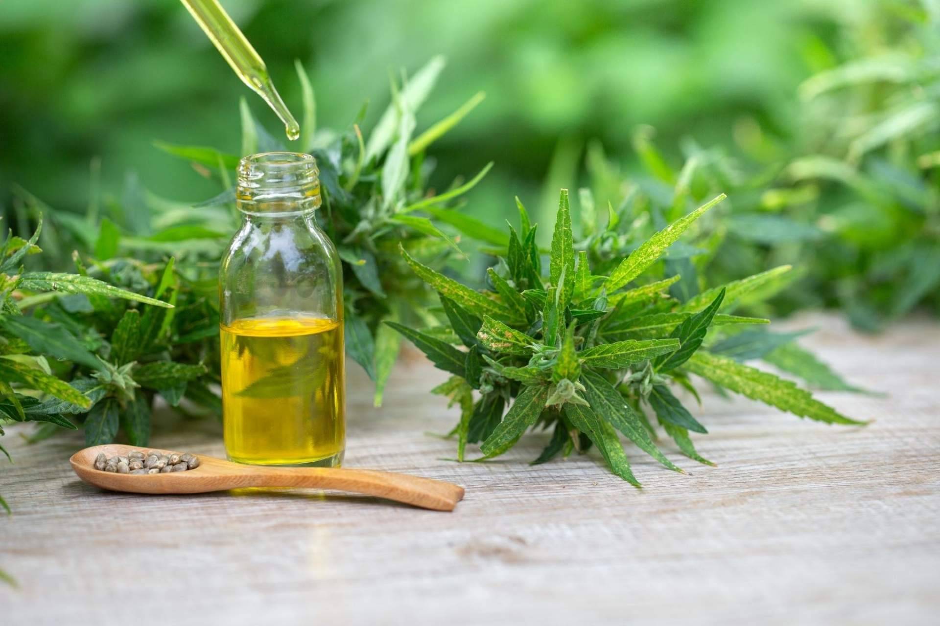 Premium Legal Hemp: Beneficios y aplicaciones de Amnesia Hy-Pro