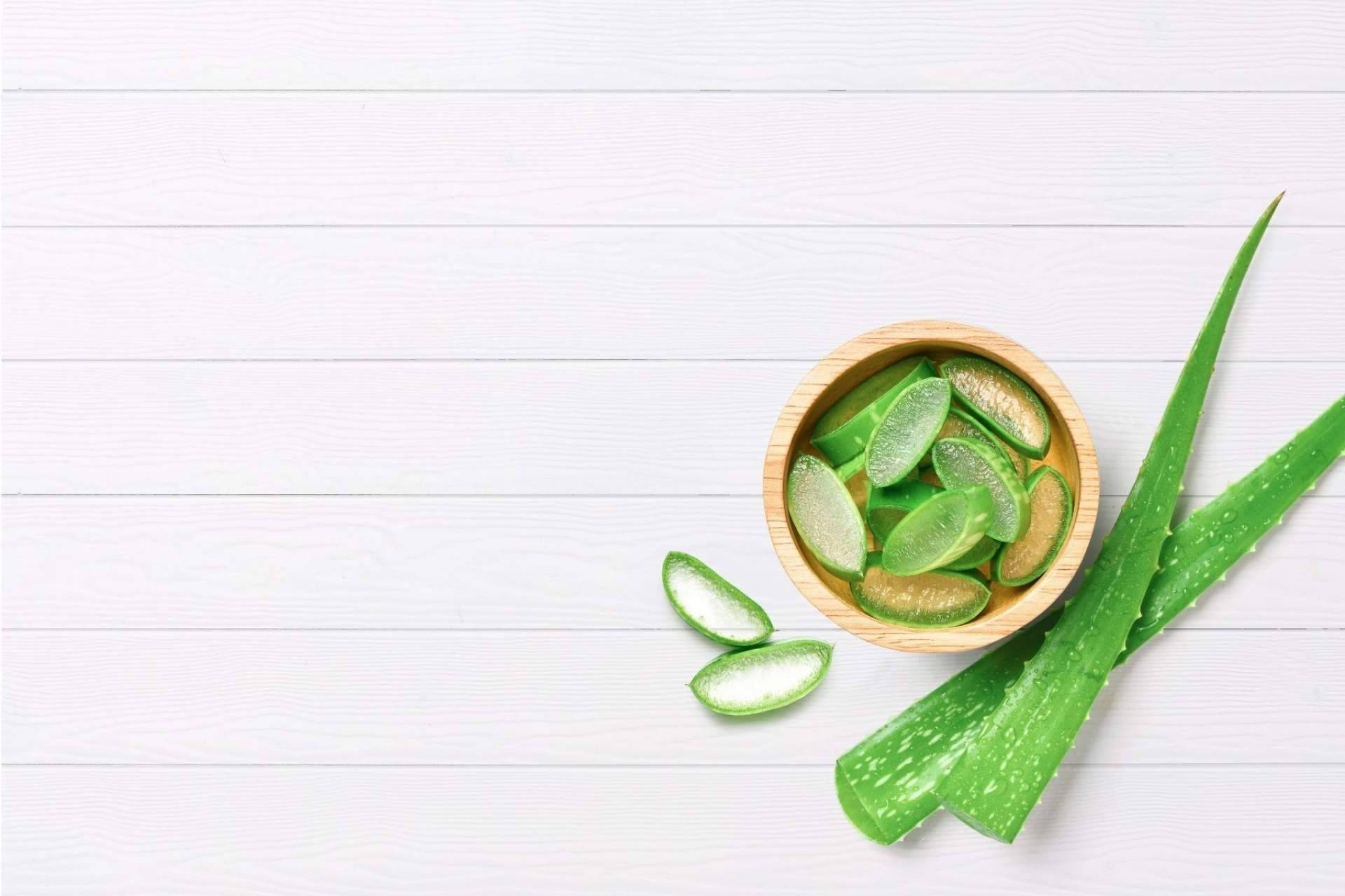 TerritorioAloe acerca las propiedades del aloe vera a los clientes