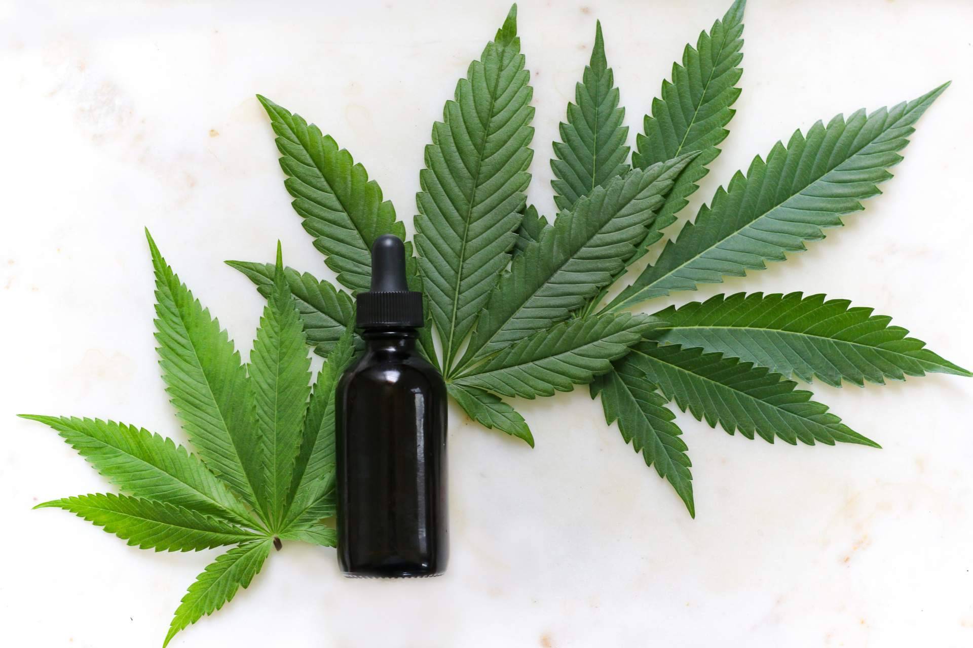 El aceite de CBD Full Spectrum de La Mal Querida Sativa