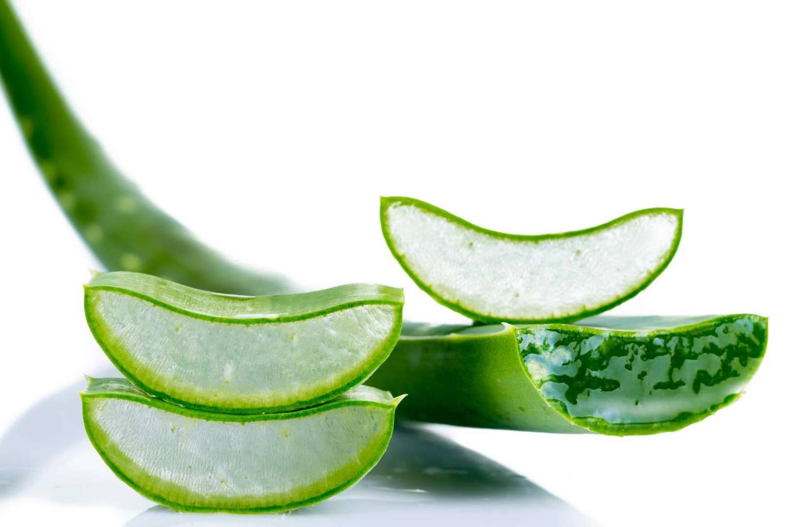 Los enamorados del aloe vera encuentran en TerritorioAloe una gran oportunidad de negocio