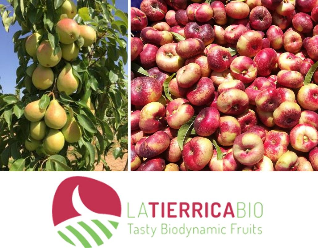 La consultoria CEDEC col·labora amb FRUTAS GARCÍA VARGAS i la seva marca de productes ecològics LA TIERRICA BIO