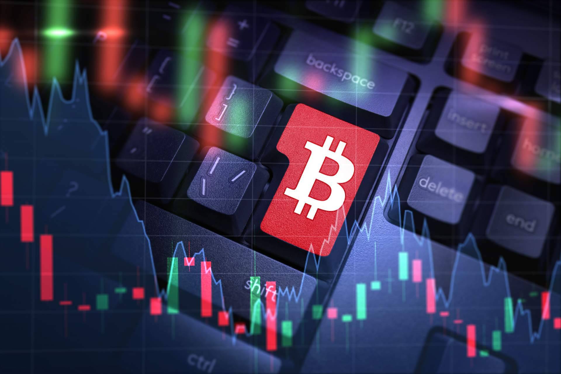 Obtener ingresos pasivos a través de BEPR, el token con mecanismo de reflexión de BEUROP