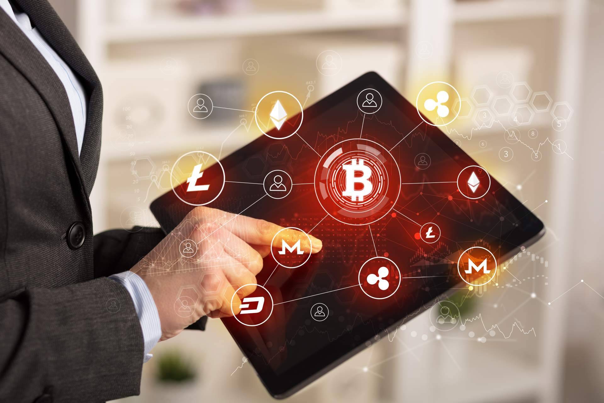 Royal Q la app de trading automático de criptomonedas