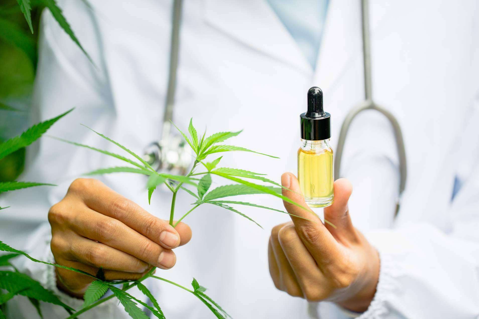 ¿Cuáles son las propiedades del CBD en los productos estrella de Legal Hemp?