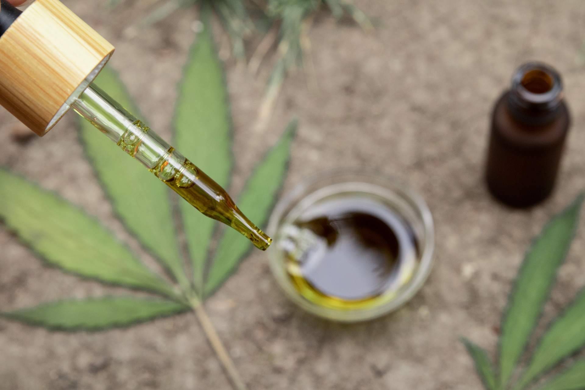 topgrow.es, el nuevo growshop online con un amplio catálogo de productos