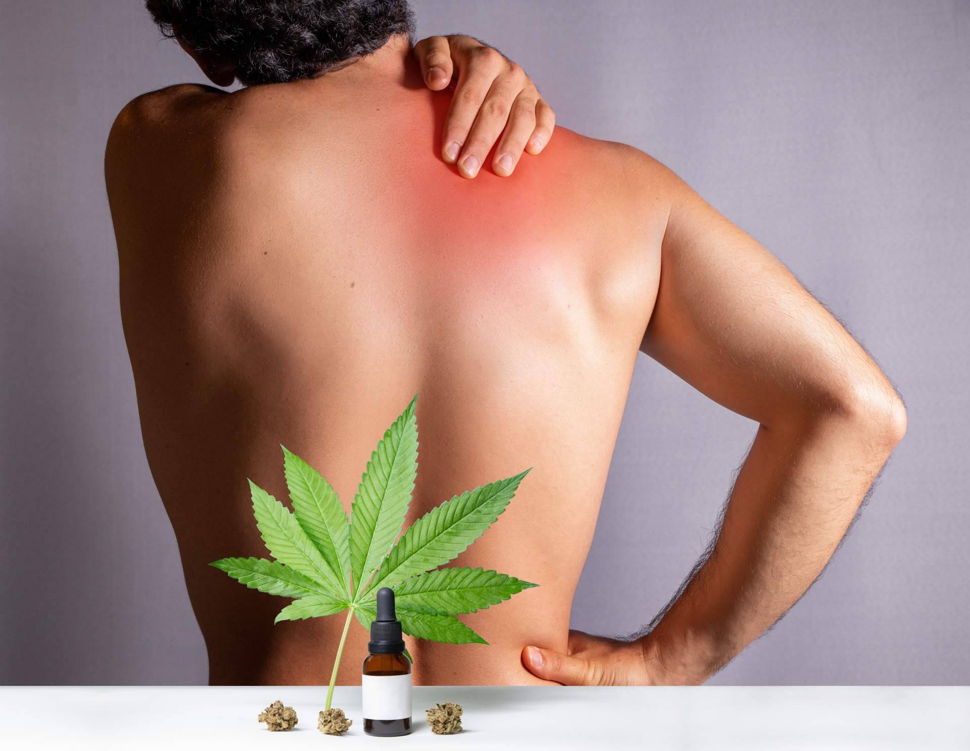 Uso del aceite CBD en fisioterapia, de la mano de A tú Vera Oil