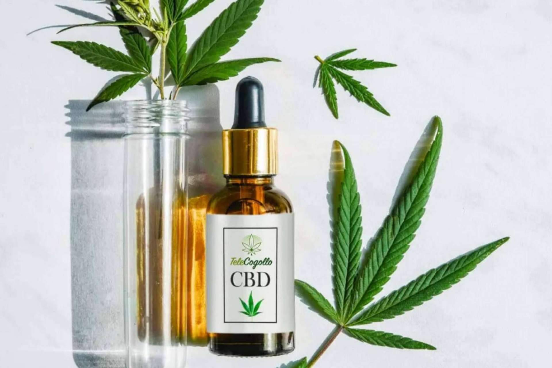 Los productos de TeleCogollo, aceites CBD y otros cannabinoides
