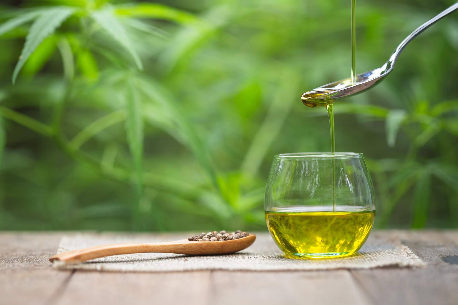 Los beneficios del aceite CBD, una de las principales opciones dentro de la medicina natural