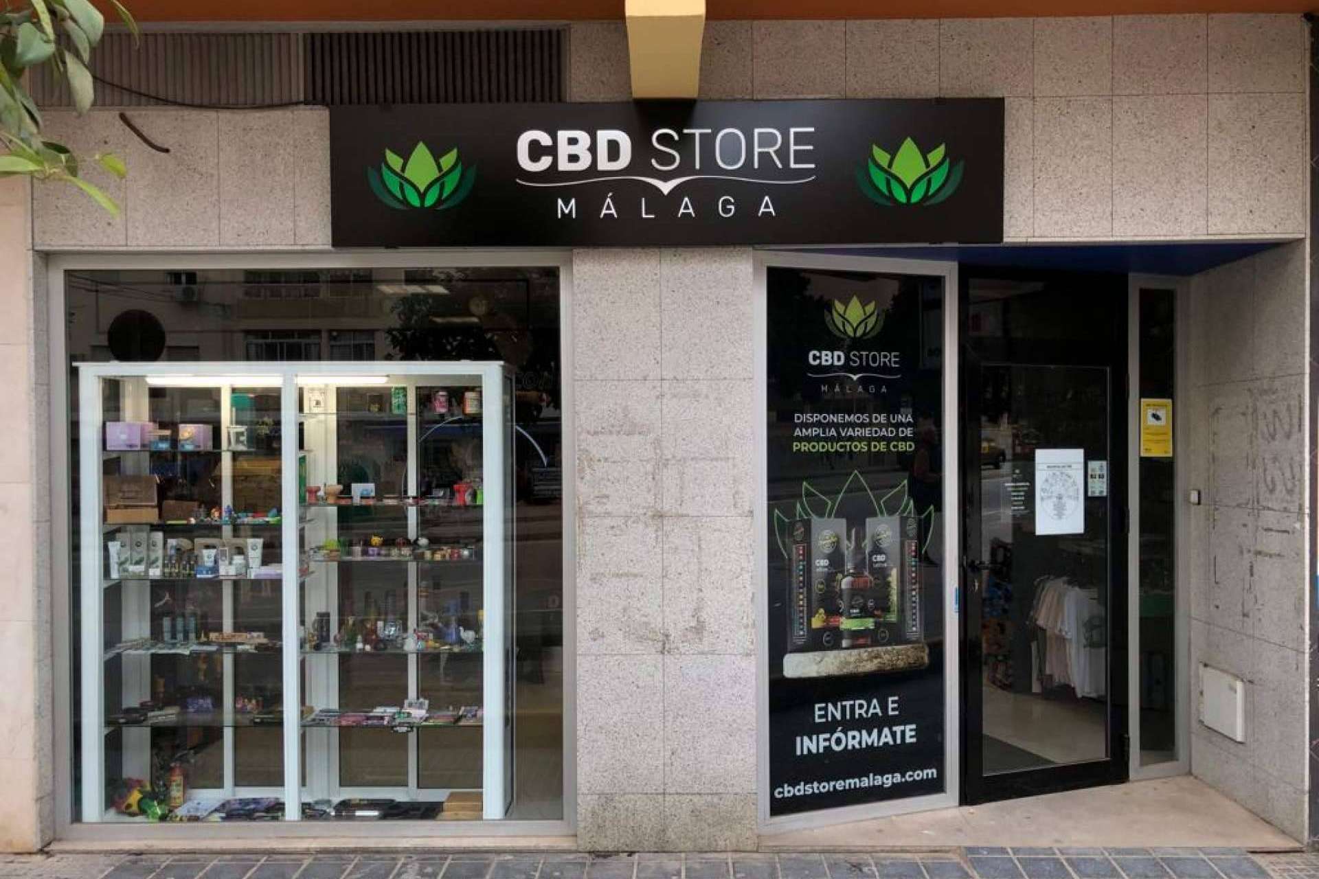 Los beneficios que aporta el consumo de CBD al organismo, por CBD Store Málaga
