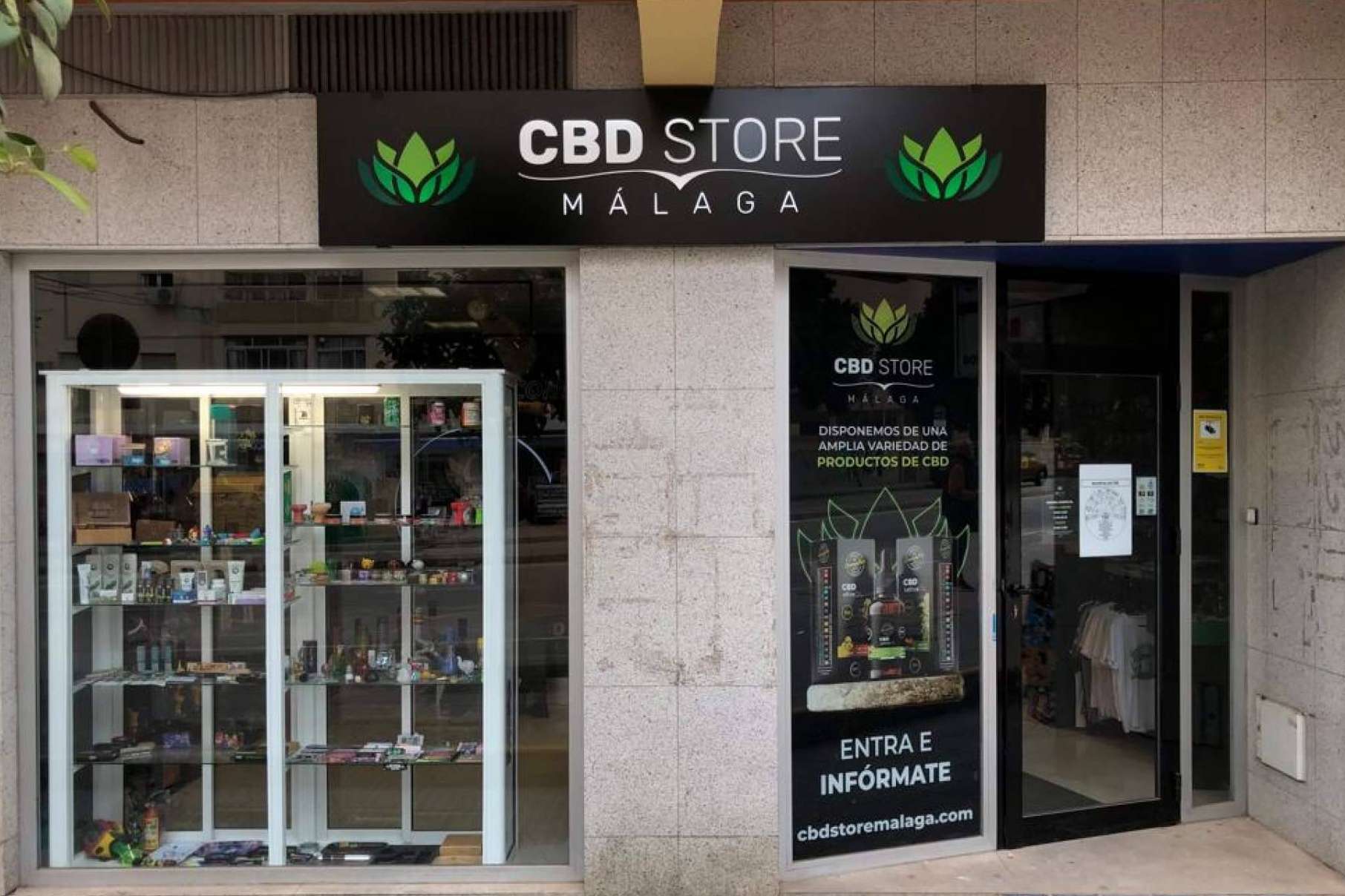 Según CBD Store Málaga, el aceite de CBD ayuda al tratamiento de algunas enfermedades