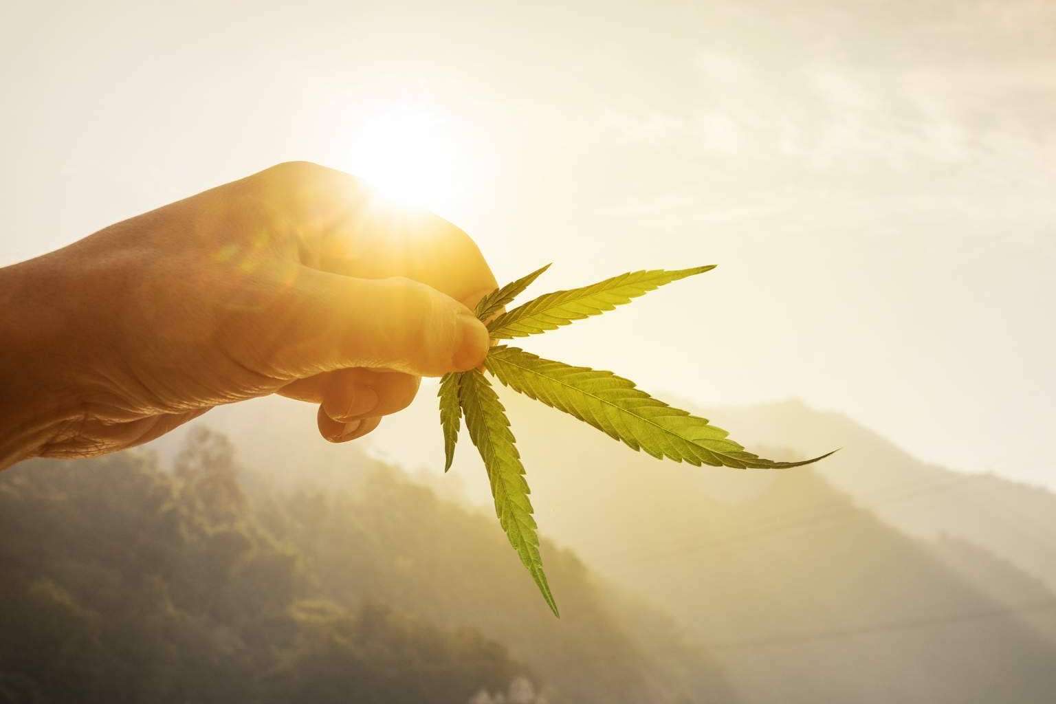 ¿Cuáles son los beneficios del CBD para la migraña?