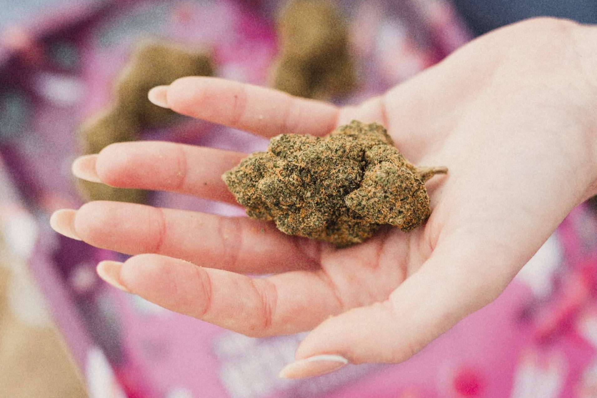Los principales beneficios del CBD, por The Rita's Forest