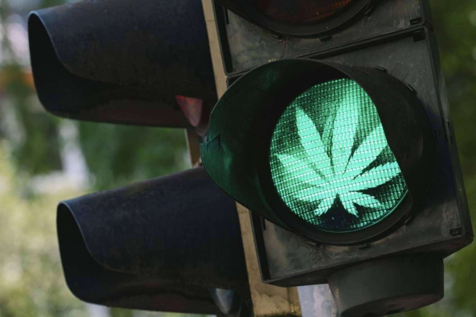 ¿Se puede conducir bajo los efectos del CBD? , con La Mal Querida