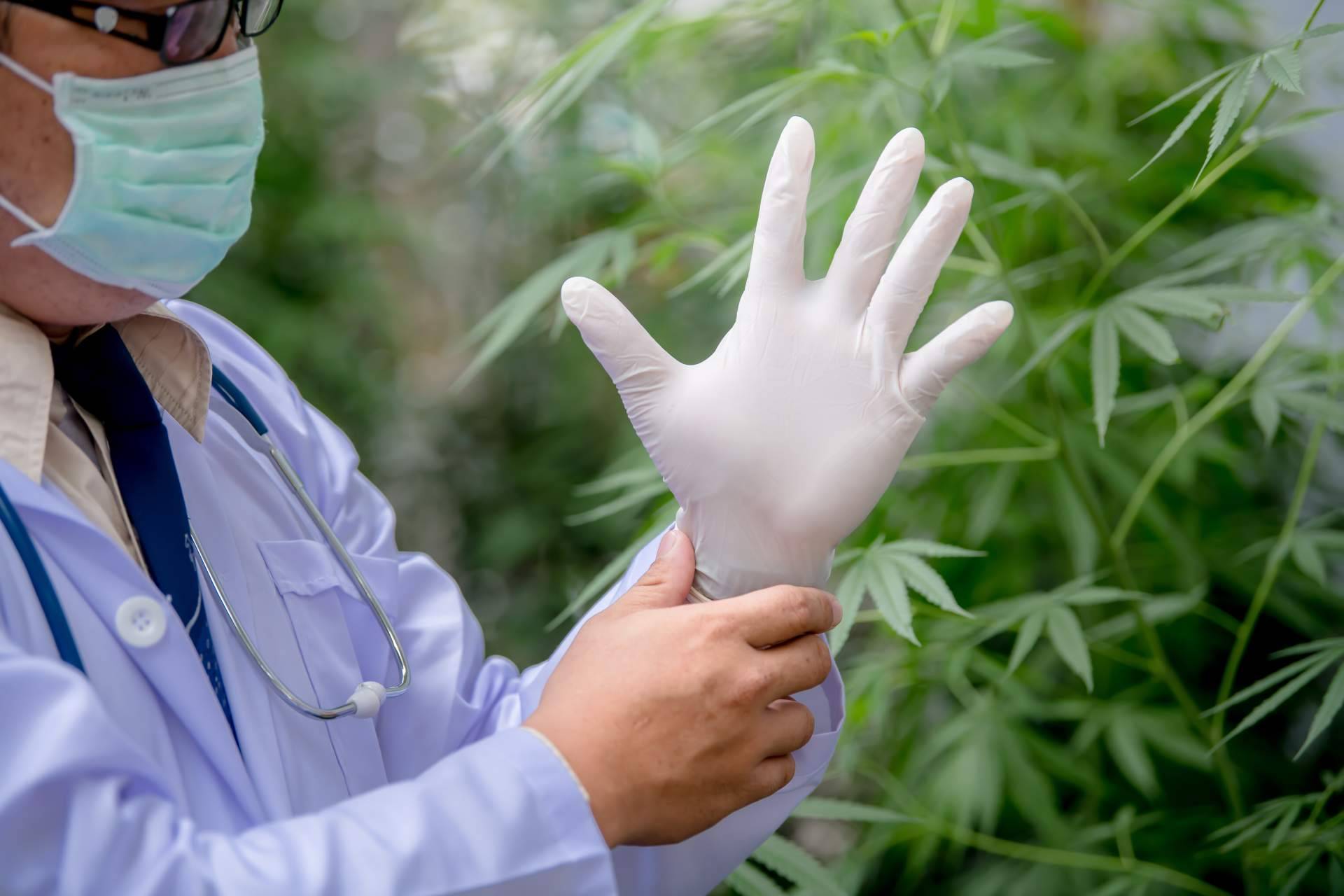 ¿Cómo encontrar aceite de CBD de alta calidad?, por CBDrocks