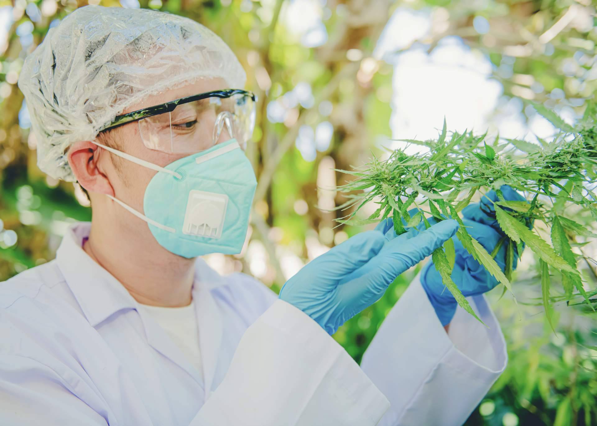 El CBD y los beneficios que ofrece para el deporte, por Greengos