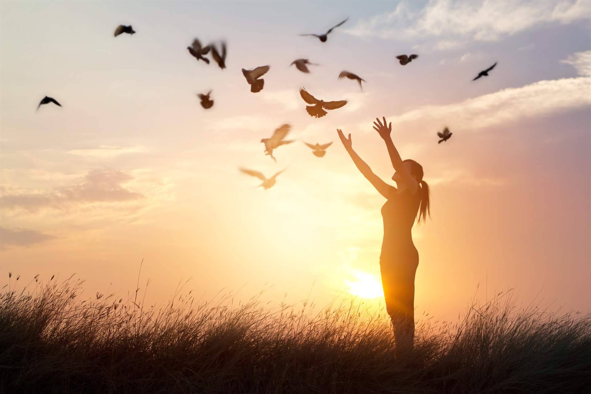 Consciencia Estelar y su evento Quinta Dimensión contribuyen en el despertar de la consciencia para conseguir cambios en la vida