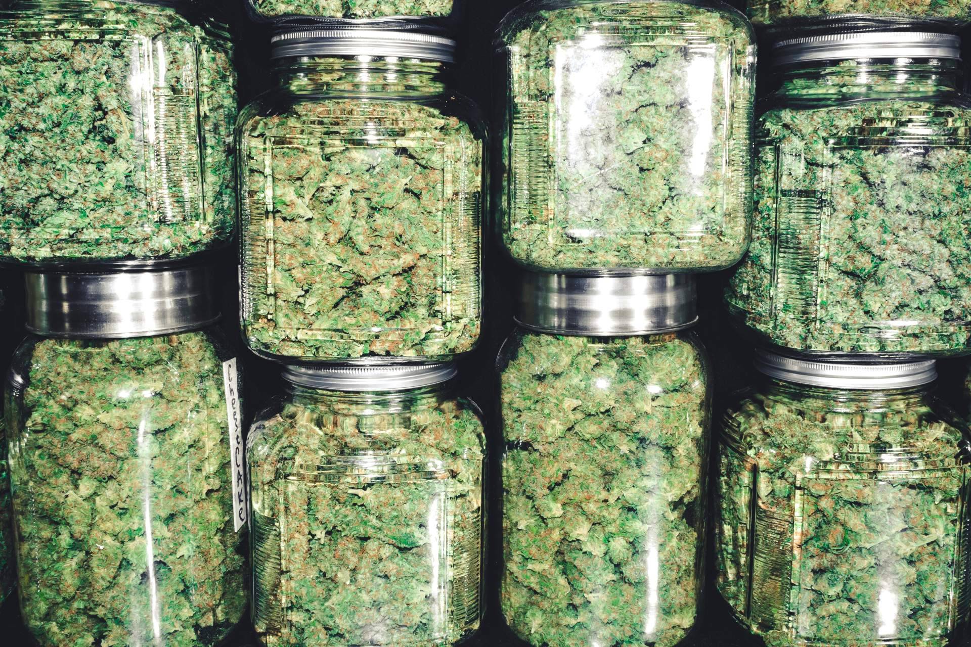 Una de las guías nº 1 de clubes de cannabis en Barcelona, Cannabis Barcelona