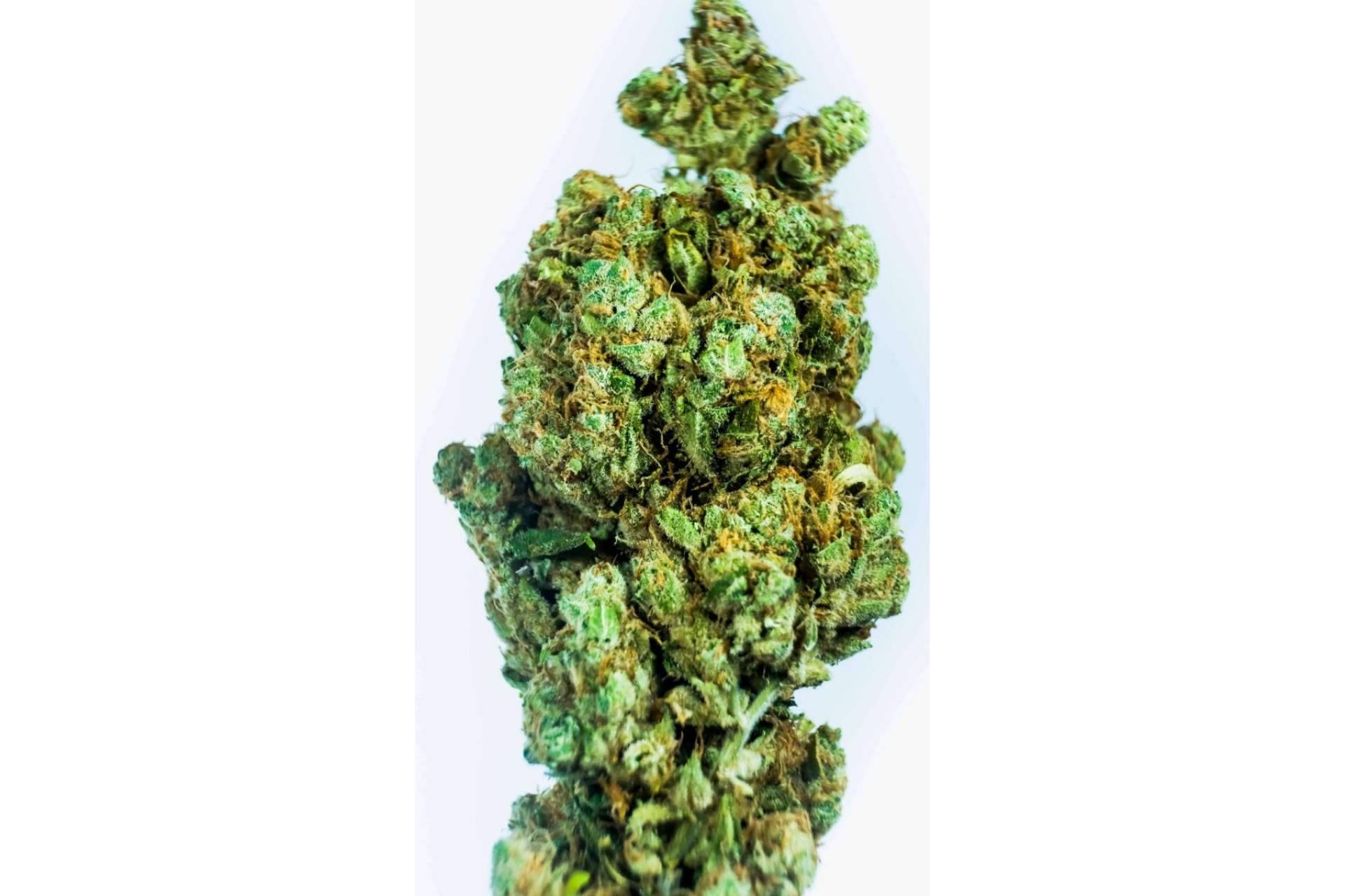 ¿Cuáles son los principales beneficios del CBD?