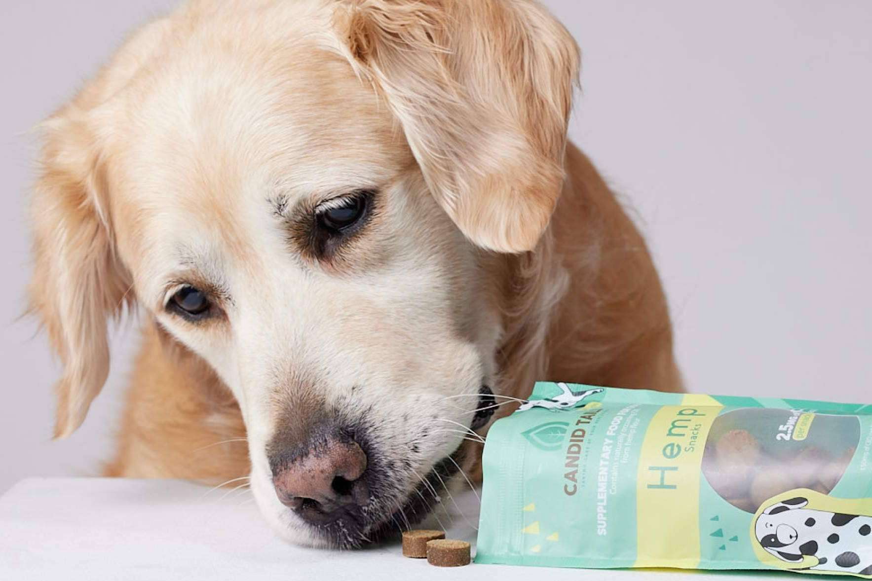 CandidTails y las ventajas del cáñamo con CBD para perros