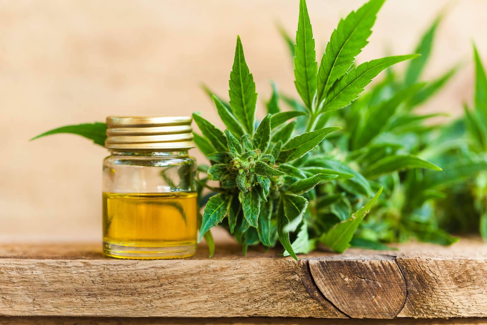 Kannamon CBD Marketplace explica los beneficios de los diferentes tipos de aceites CBD