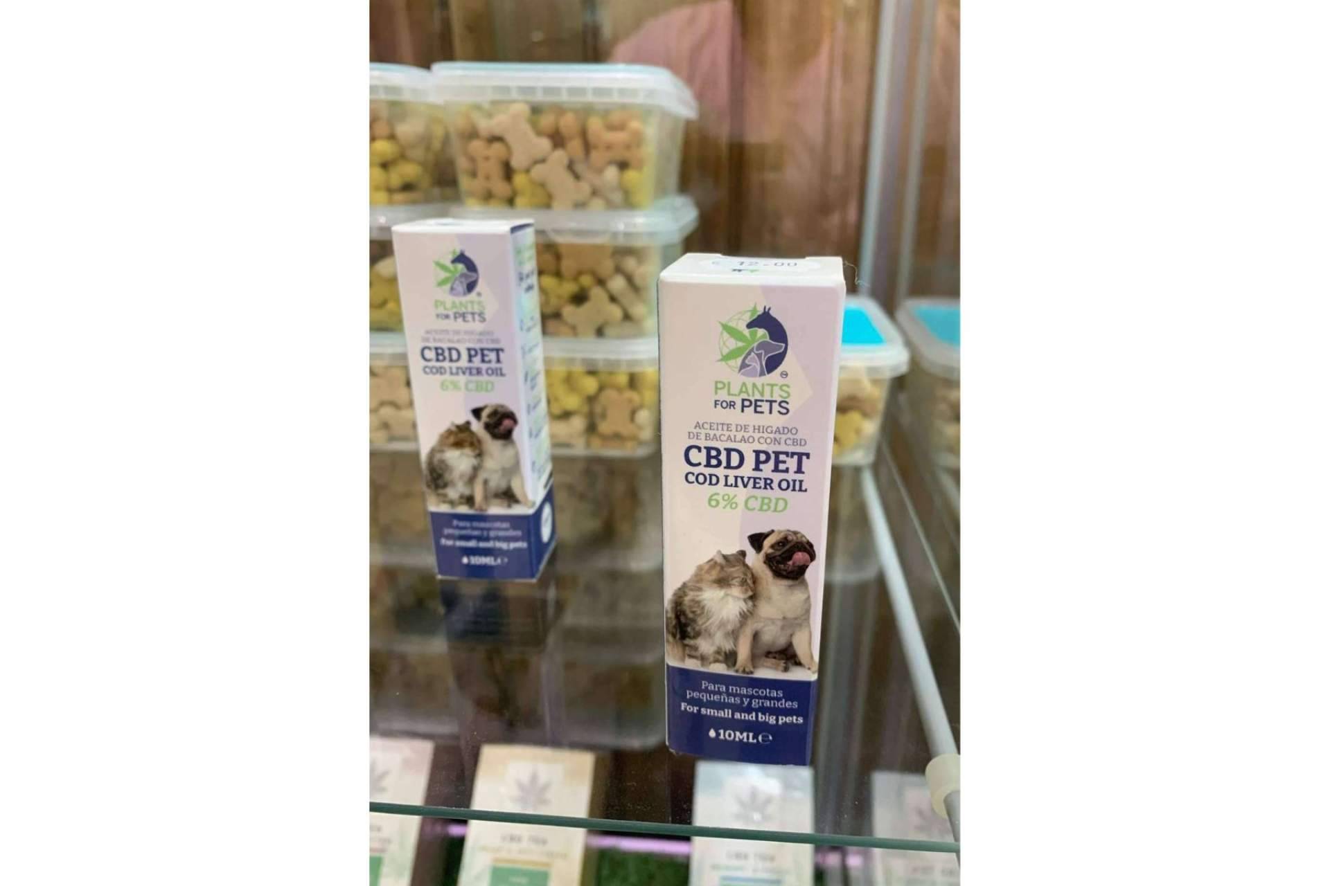 ¿Qué es el CBD para mascotas?, por Marea Verde Grow Shop