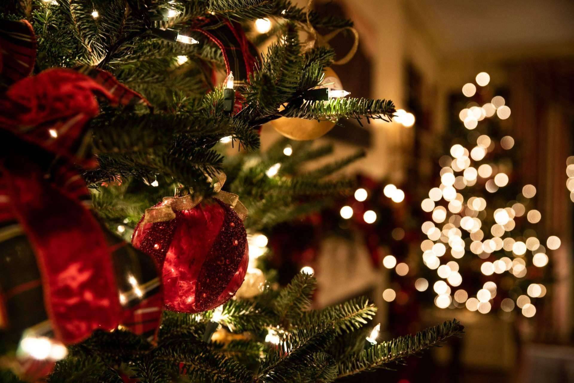 CBD, un regalo ideal para Navidad