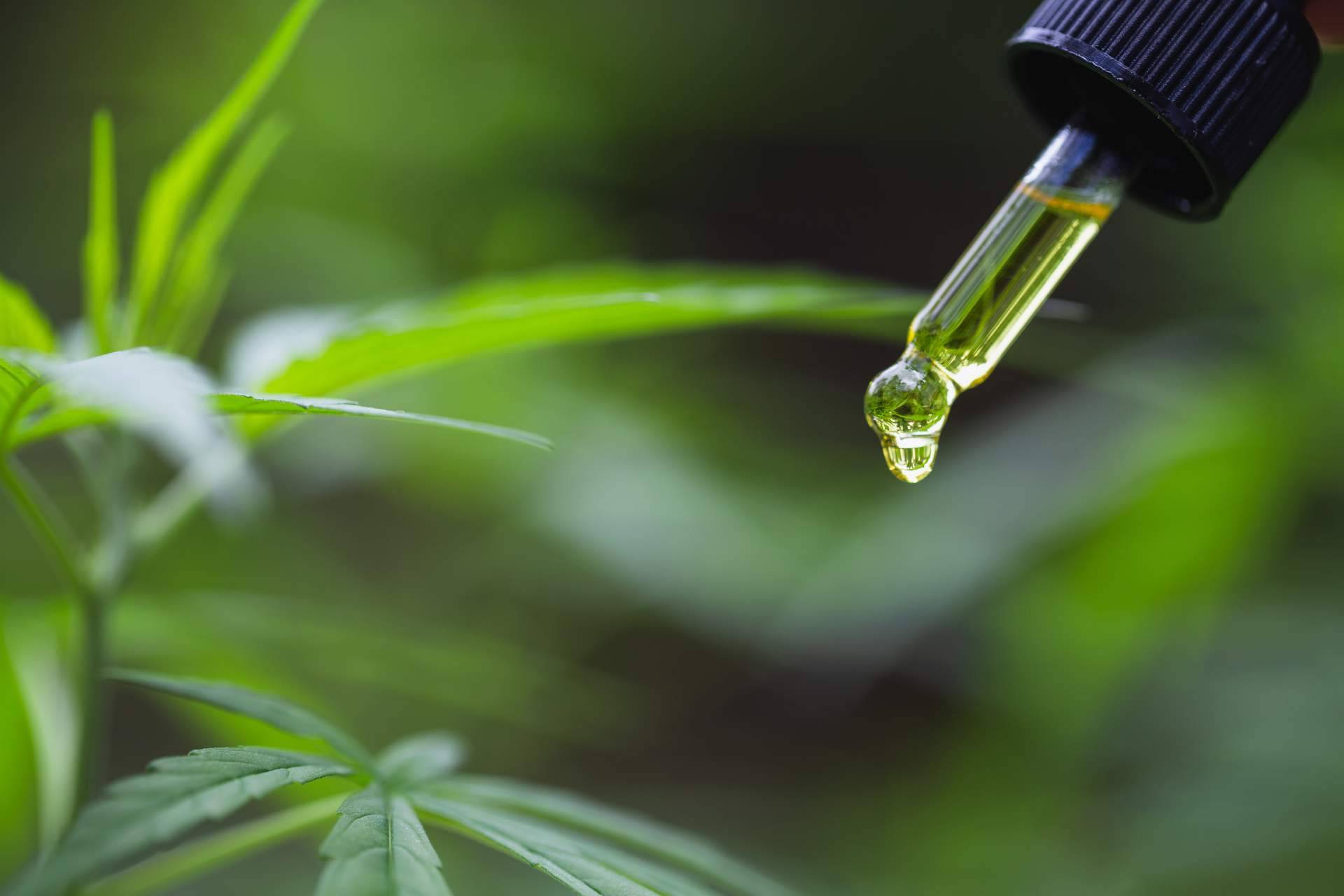 Favorecer la salud con los productos de cannabis en venta en Arkano CBD