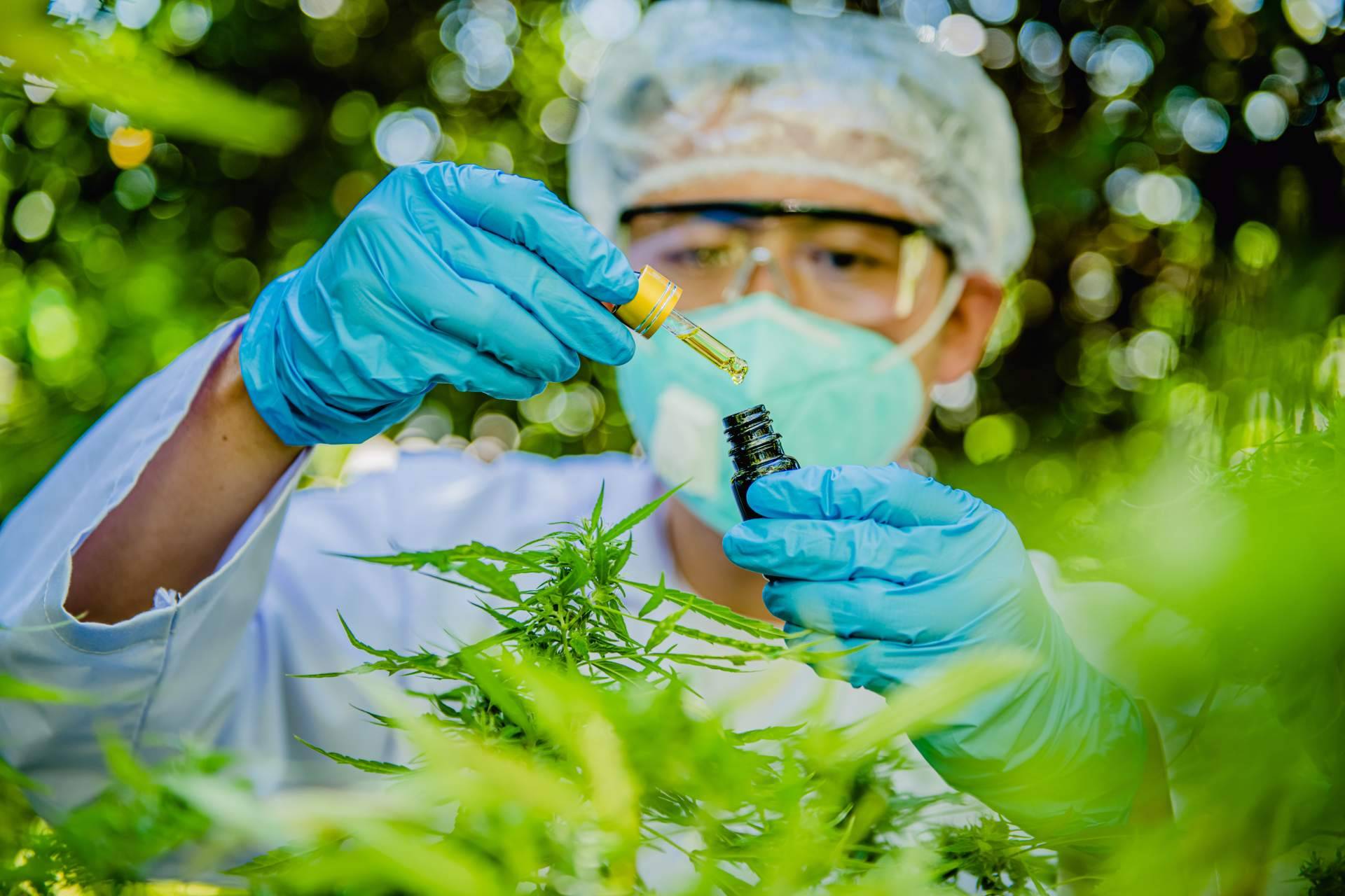 El aceite CBD ofrece múltiples beneficios a los deportistas, por Arkano CBD